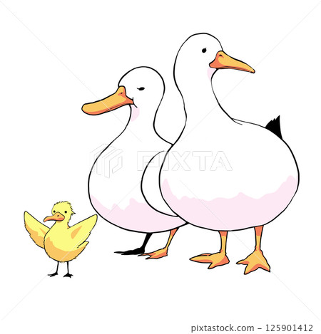 可愛的鴨子家族插畫素材 125901412