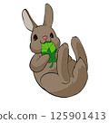 Illustration of a rolling rabbit 125901413