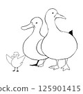 Cute duck family illustration material 125901415