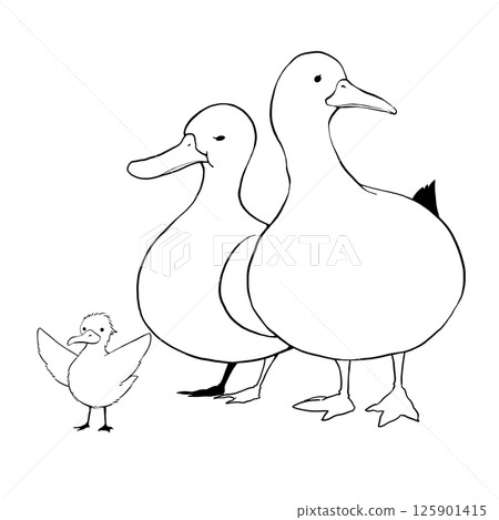 可愛的鴨子家族插畫素材 可愛的鴨子家族插畫素材 125901415