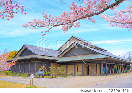 Nagoya Noh Theatre and cherry blossoms in full bloom, Nagoya, Aichi Prefecture Nagoya Noh Theatre and cherry blossoms in full bloom, Nagoya, Aichi Prefecture 125901436
