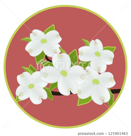 具有圓形背景的山茱萸插圖 具有圓形背景的山茱萸插圖 125901463