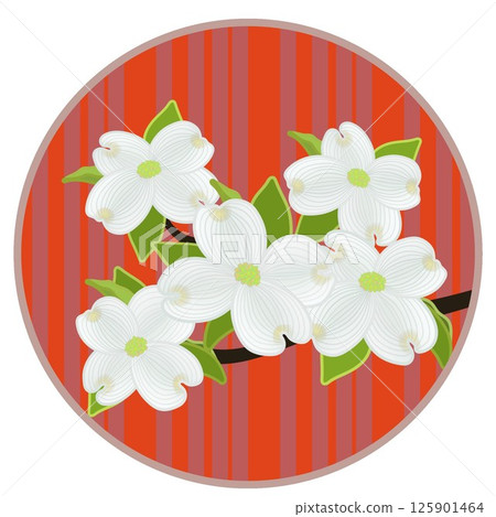 具有圓形背景的山茱萸插圖 125901464