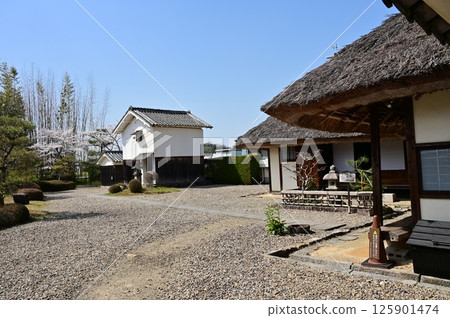 Ama Family Samurai Residence Museum (Tambasasayama, Hyogo Prefecture) 125901474