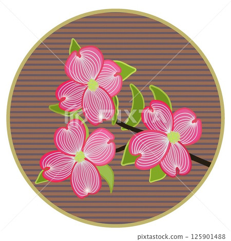 Illustration of a dogwood with a circular background Illustration of a dogwood with a circular background 125901488