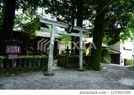 Hakone Ohiradai Yamakami Shrine 125901500