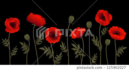 Seamless pattern of blooming red poppy flowers with green stems and leaves on black background elegant floral design with vibrant petals and seed pods botanical vector illustration for decoration Seamless pattern of blooming red poppy flowers with green stems and leaves on black background elegant floral design with vibrant petals and seed pods botanical vector illustration for decoration 125902027