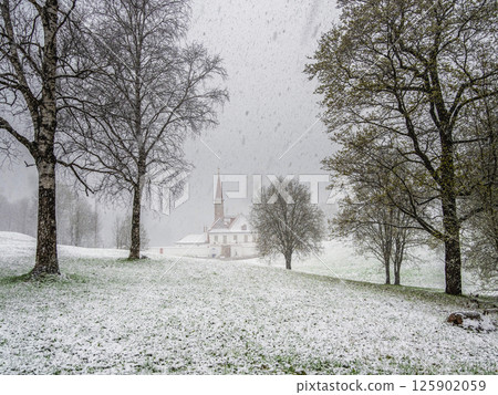 Spring snowfall. Blizzard in the Gatchina park. 125902059