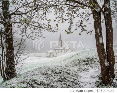 Spring snowfall. Blizzard in the Gatchina park. 125902082