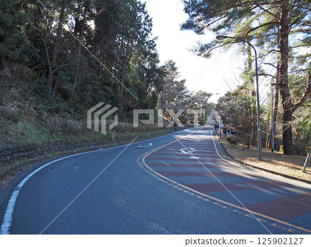 A winding mountain pass in Tokyo. Seiseki-Sakuragaoka. 125902127