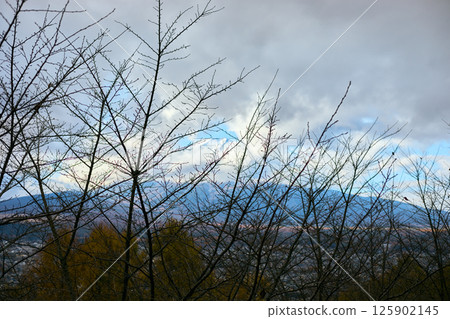 Mt Fuji in the early morning 125902145