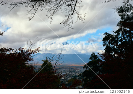 Mt Fuji in the early morning 125902146
