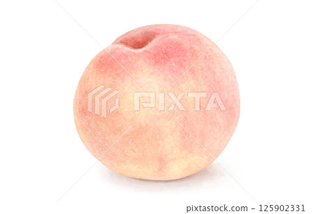 桃子插畫水彩白桃 125902331