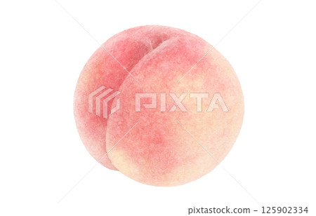 Peach illustration watercolor white peach Peach illustration watercolor white peach 125902334