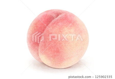 Peach illustration watercolor white peach 125902335