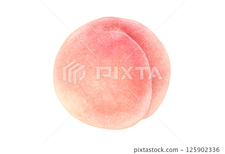 桃子插畫水彩白桃 125902336