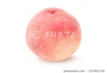 桃子插畫水彩白桃 125902339