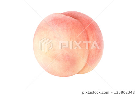 桃子插畫水彩白桃 桃子插畫水彩白桃 125902348