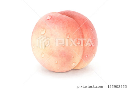桃子插畫水彩白桃 125902353
