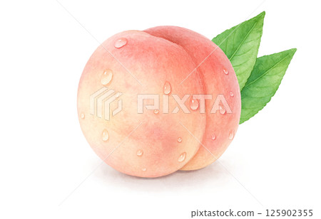 桃子插畫水彩白桃 125902355