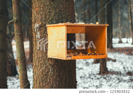 The stern of birds hanging on the tree trunk provides food for wild birds during the cold winter, helping them to survive the harsh weather conditions in the snow forest. Wooden a bird feeder. The stern of birds hanging on the tree trunk provides food for wild birds during the cold winter, helping them to survive the harsh weather conditions in the snow forest. Wooden a bird feeder. 125903832