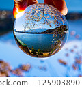 Cherry blossoms reflected in a crystal ball 125903890