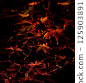 Autumn leaves lighted up 125903891