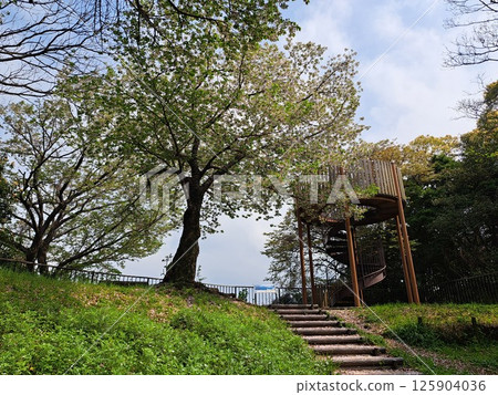北九州市第一公園 北九州市第一公園 125904036