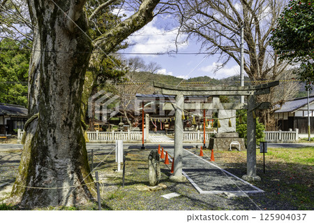 岡山縣美作市林野神社鳥居 岡山縣美作市林野神社鳥居 125904037