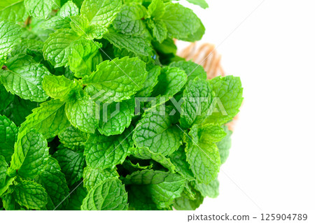 Fresh peppermint in wood bowl isolated on white background. It is widely used in food, beverages, cosmetics, and medicinal products due to its natural menthol 125904789