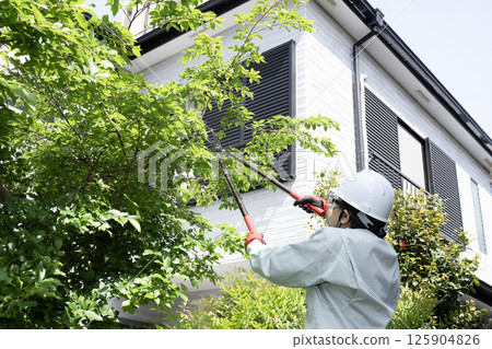一名工人正在砍伐一棵正在生長的花園樹 125904826