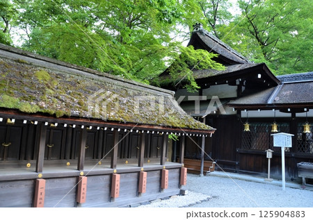 下鴨神社 河合神社 125904883
