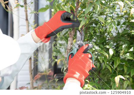The hands of a worker cutting overgrown garden trees The hands of a worker cutting overgrown garden trees 125904910