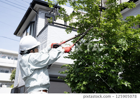 A worker cutting overgrown garden trees A worker cutting overgrown garden trees 125905078