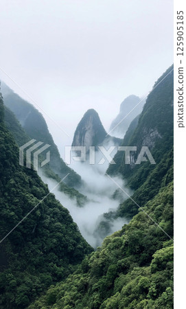 Serene mountain landscape shrouded in mist under a soft morning sky Serene mountain landscape shrouded in mist under a soft morning sky 125905185