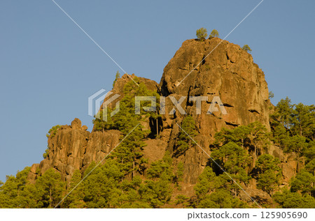 Cliff of the Morro de La Negra. 125905690