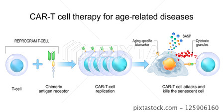Immunotherapy for aging Immunotherapy for aging 125906160