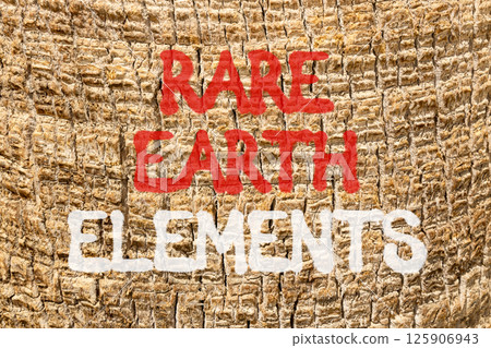 Rare earth elements symbol. Concept words Rare earth elements on beautiful palm bark. Beautiful palm bark background. Business and rare earth elements concept. Copy space. 125906943