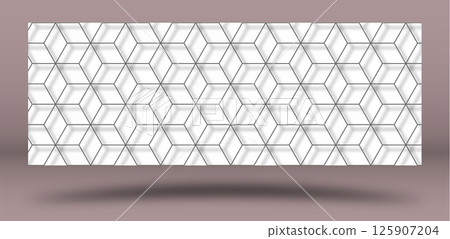 Abstract black and white geometric design. Layout for the design of the cover, banner, poster, postcard and corporate design. The idea of interior and decorative creativity 125907204