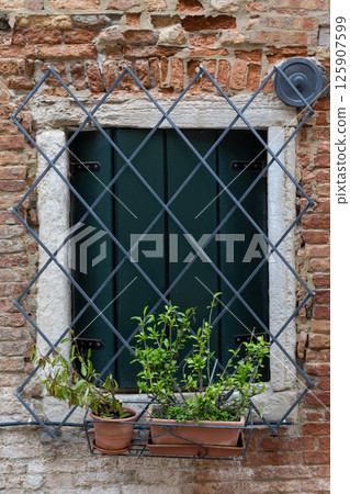 Golden Dog in Autumn Forest Landscape Golden Dog in Autumn Forest Landscape 125907599