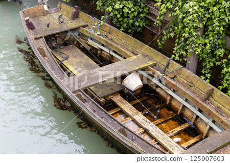 Abandoned Wooden Boat with Ivy Wall 125907603
