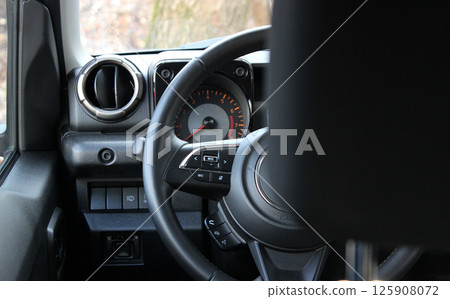 View From Behind The Headrest On A Dashboard And Steering Wheel In Off Road Car  View From Behind The Headrest On A Dashboard And Steering Wheel In Off Road Car  125908072