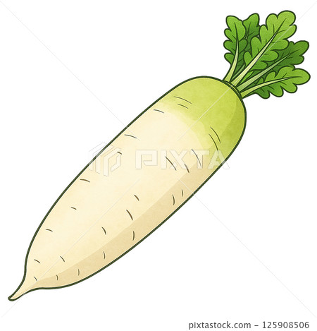Radish illustration (anime style, simple design) 125908506