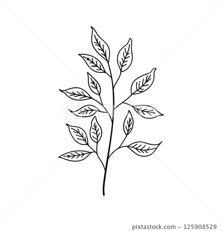 Minimal Leaf Line Drawing. Elegant black and white illustration of a single leaf stem drawn in a clean minimalist style. 125908529