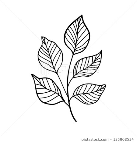 Leafy Stem. Stylized leafy stem in elegant monochrome line art, perfect for clean, modern compositions, packaging, or stationery design. Leafy Stem. Stylized leafy stem in elegant monochrome line art, perfect for clean, modern compositions, packaging, or stationery design. 125908534