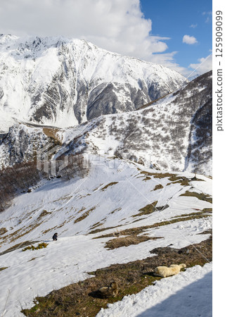 Snowcapped peaks of Caucasus mountains along the Georgian Military Road, major route from Georgia to Russia 125909099