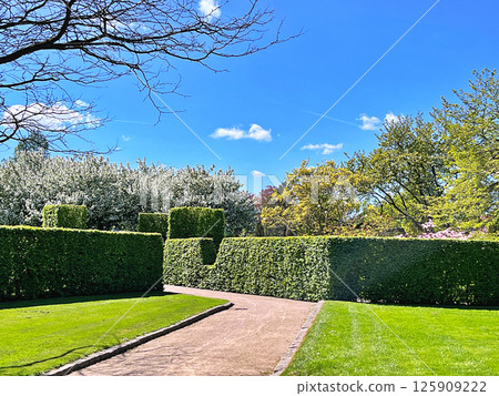 Nature in the city park - Herning, Denmark Nature in the city park - Herning, Denmark 125909222