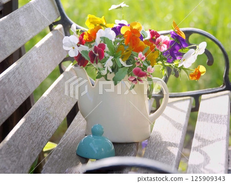 viola arrangement on the bench 125909343