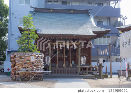 [日本] 千葉縣松戶神社的神社建築懸掛著注連繩，並展示著許多祈願牌 125909621