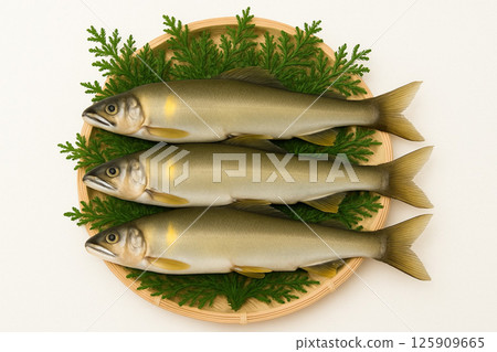 Freshly caught sweetfish in a basket 125909665